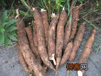 警惕那些给自己下毒的吃法