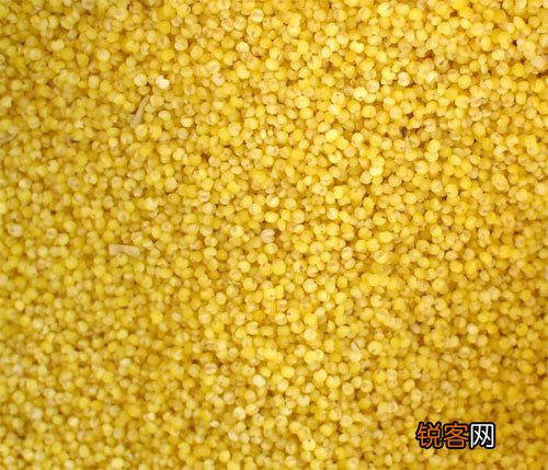 五谷功效各不同 怎样吃最养人