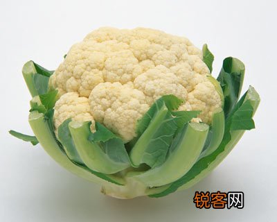 过年营养需调和