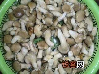 辣炒鸡腿菇的做法
