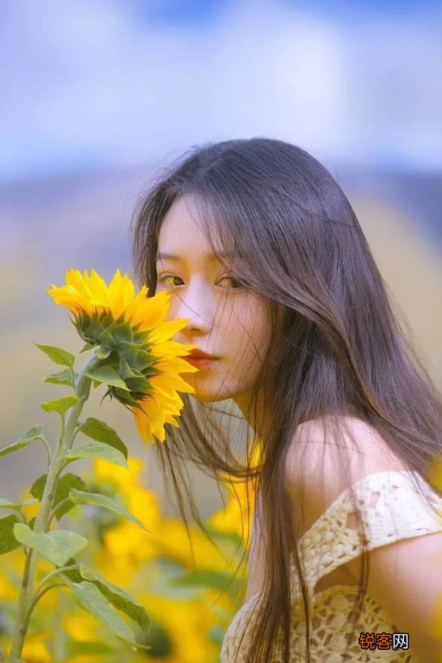 这样拍向日葵人像，清晰且不单调，只需随手一拍都能那么美