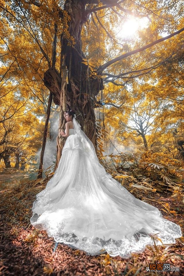 广角的畸变会把人物变高吗？