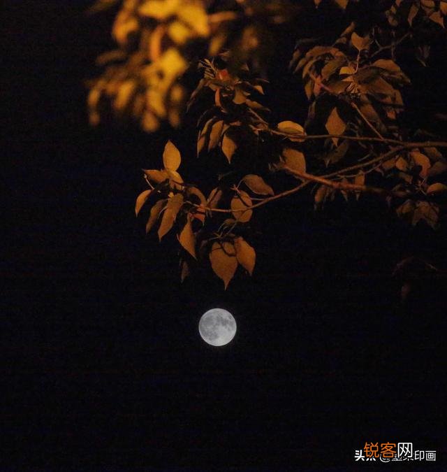 如何能拍好月亮?