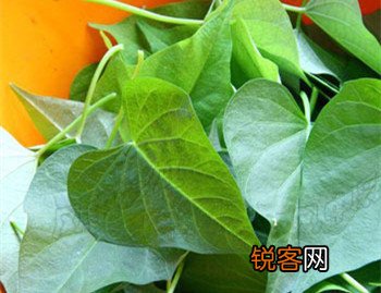 电脑工作者饮食健康很重要