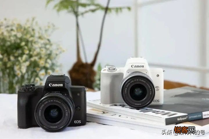 目前在售索尼、佳能、尼康半画幅各自有哪些优缺点?