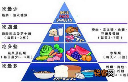 平衡膳食金字塔