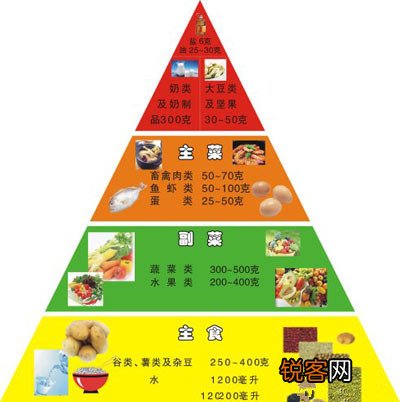平衡膳食金字塔