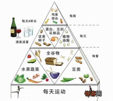 平衡膳食金字塔