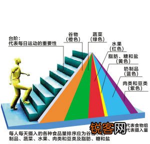 平衡膳食金字塔