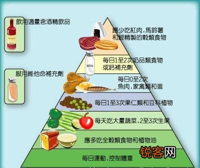 平衡膳食金字塔