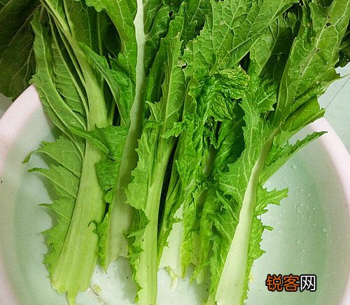 制作酸菜