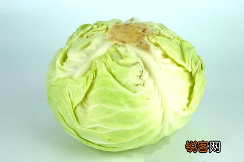 各个身体器官最爱的食物