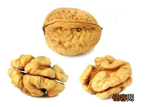 各个身体器官最爱的食物