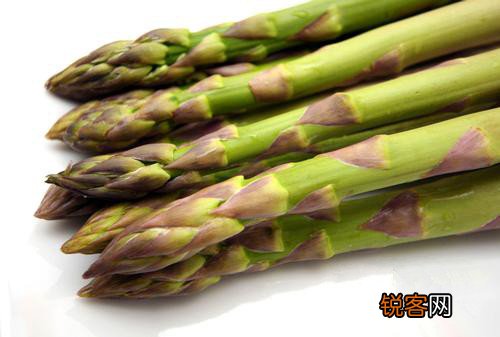 各个身体器官最爱的食物