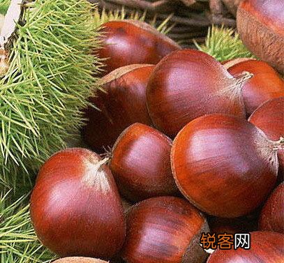 冬季特有食材陪您健康过冬