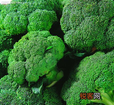 冬季特有食材陪您健康过冬