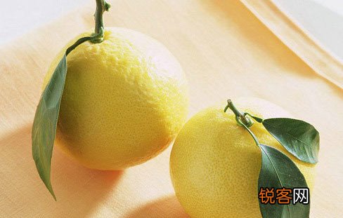 冬季特有食材陪您健康过冬