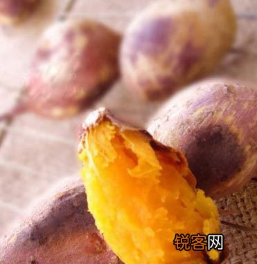 冬季特有食材陪您健康过冬