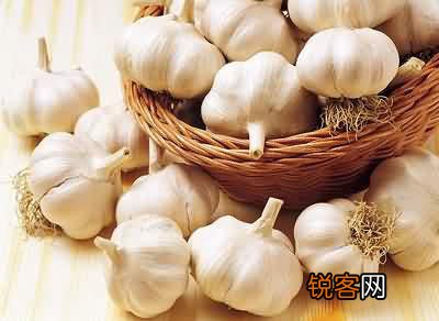 冬季特有食材陪您健康过冬