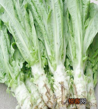 冬季养生特点及原则