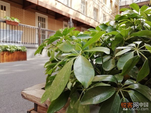 华为87plus参数配置详情 畅享8 Plus什么时候上市的