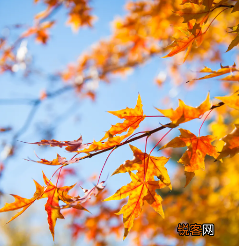 秋天风景照片 秋天风景摄影