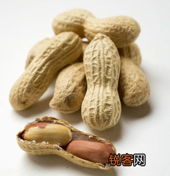 盘点秋季进补的“状元”食物