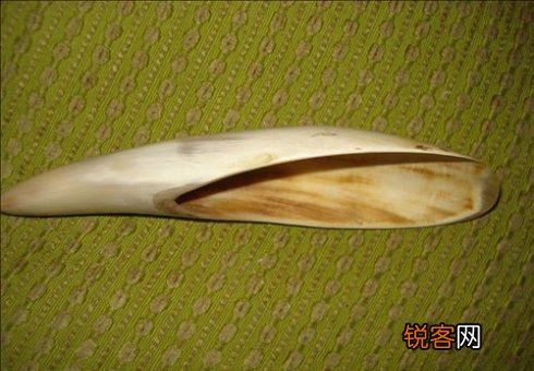 秋季刮痧巧去颈椎疼痛