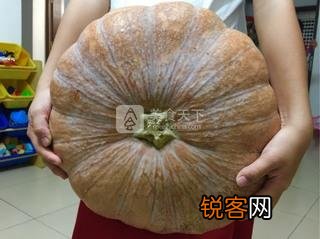 南瓜馒头的做法