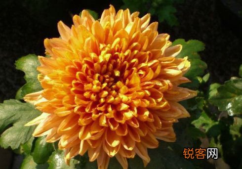 注意保暖“秋冻”别冻头和脚