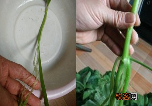 素炒南瓜梗