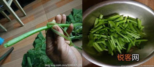 素炒南瓜梗