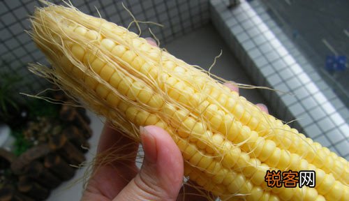 9食物比你想像更健康
