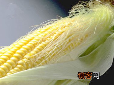 玉米抗衰煮的时间越长越好