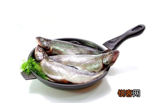 夏秋交接 10种不生病绝妙食物