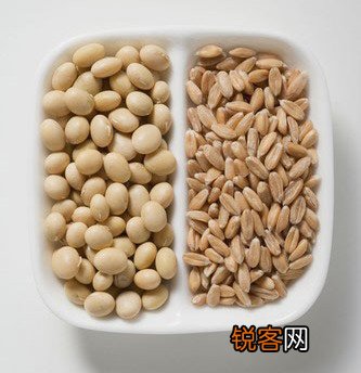 夏秋交接 10种不生病绝妙食物