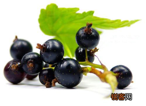 夏秋交接 10种不生病绝妙食物