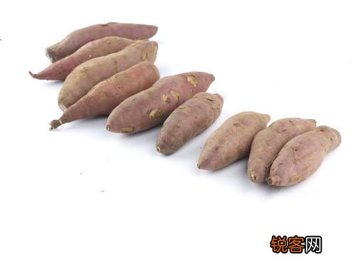 夏秋交接 10种不生病绝妙食物