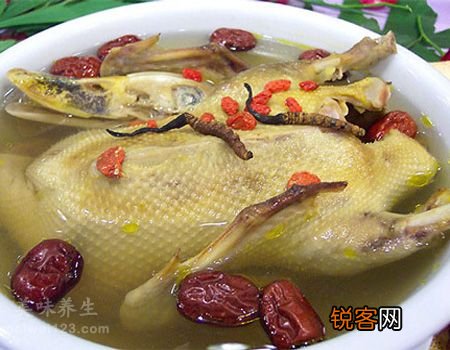 虫草老鸭汤的功效与制作