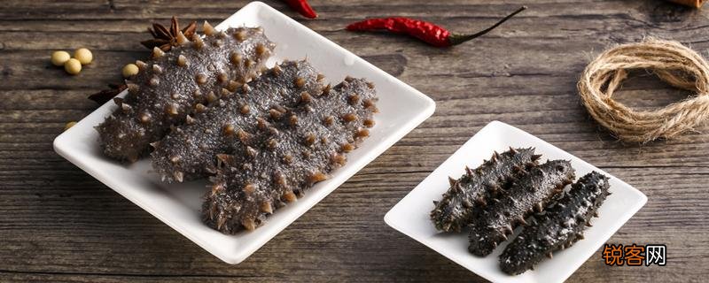 干海参泡发的正确方法 干海参泡发后怎么吃!
