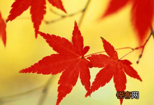 养生：立秋后别降火过了头
