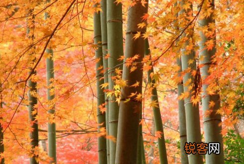 养生：立秋后别降火过了头