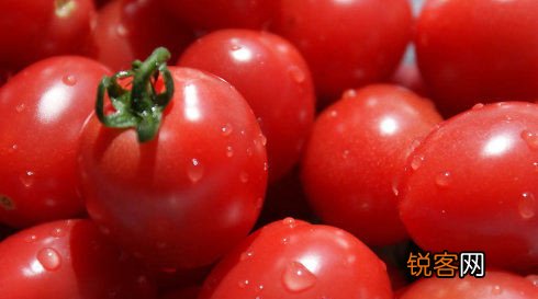 破析中国式转基因谬误与谣言