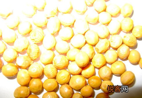 破析中国式转基因谬误与谣言