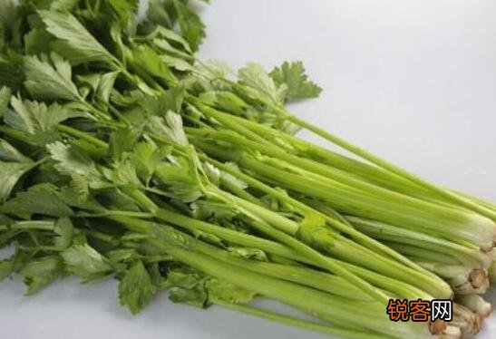 白芹菜和绿莴笋的差别 芹菜的功效