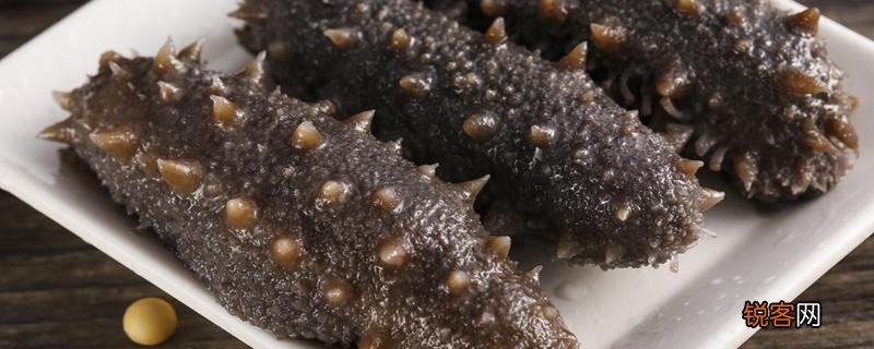 如何吃海参最有营养 海参在一天的什么时间吃最好!