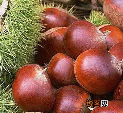 入秋后食用水果有哪些讲究