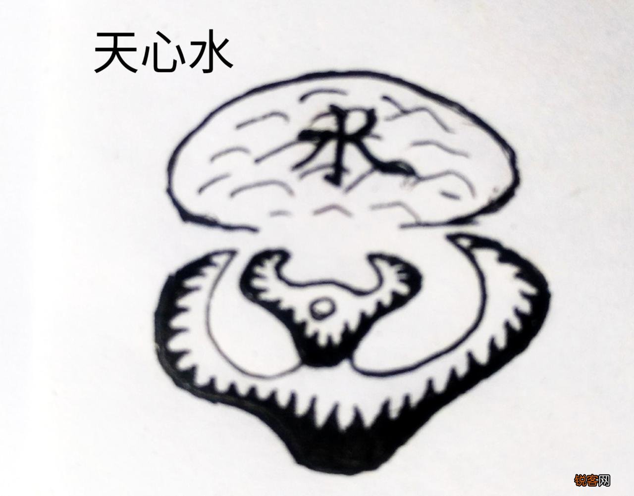 后代发富的祖坟必备9种因素 发财最猛的祖坟风水