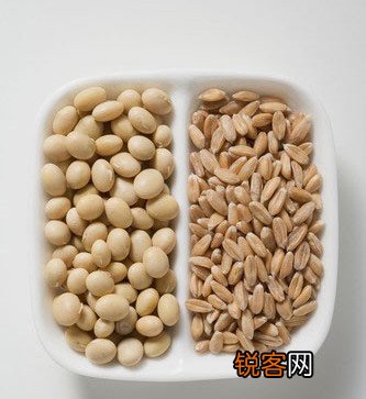 盘点黄豆的10大功效
