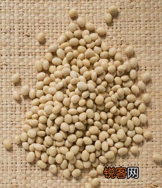盘点黄豆的10大功效